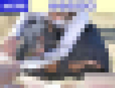 【再販】vol.568：お花見特集：黒いスカート内に見えるスパッツ脇からハミ出たゼブラ柄Ｐのモデルさん ※動画有り他、多数収録！