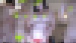[地下撮影会マル秘映像シリーズ1-2]激ヤバイベントのヌードお立ち台コーナーは美女たちが大サービスで大満足