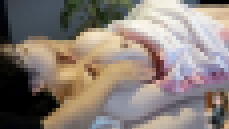 【再販】1作品あたり250円！全47作が最安セットで登場！