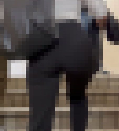 【再販】《４K・高画質》 No.1363「OB訪問するリクルートスーツJD！デカいお尻に肉感BODYで全てがパッツパツだ」