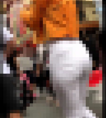 【再販】139短パンが短すぎるギャルとバキバキなパンティラインのお姉さん