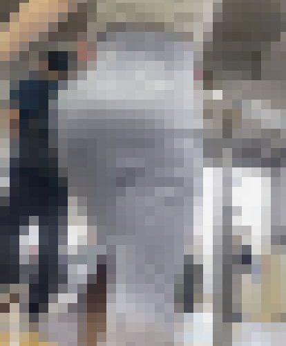 【再販】《４K・高画質》 No.1428「スタイルとお顔が美しい！プリ尻を強調するハイウエストスカート」