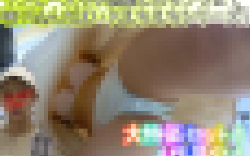 【セット販売特価】JD/ｋのワンピース盗撮したらブラジャーまで映り込んだシリーズ！