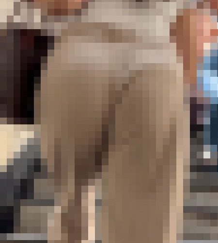 【再販】《４K・高画質》 No.1441「見ていいの！？T丸わかりな爆尻爆乳セレブ爆美女OL」