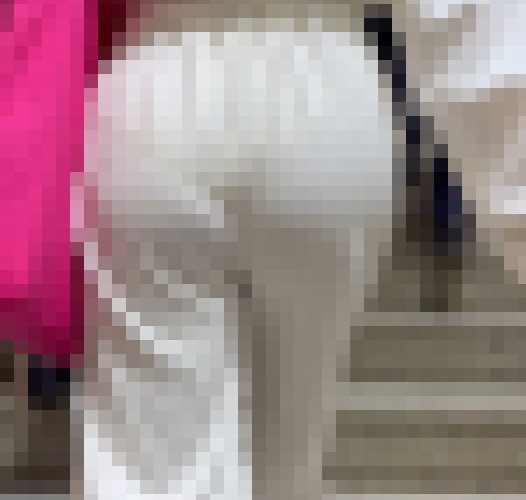 【再販】《４K・高画質》 No.1498「モーレツに透けるデカいPライン！ハミ尻も最強なGAL系JDの上下スウェット姿」