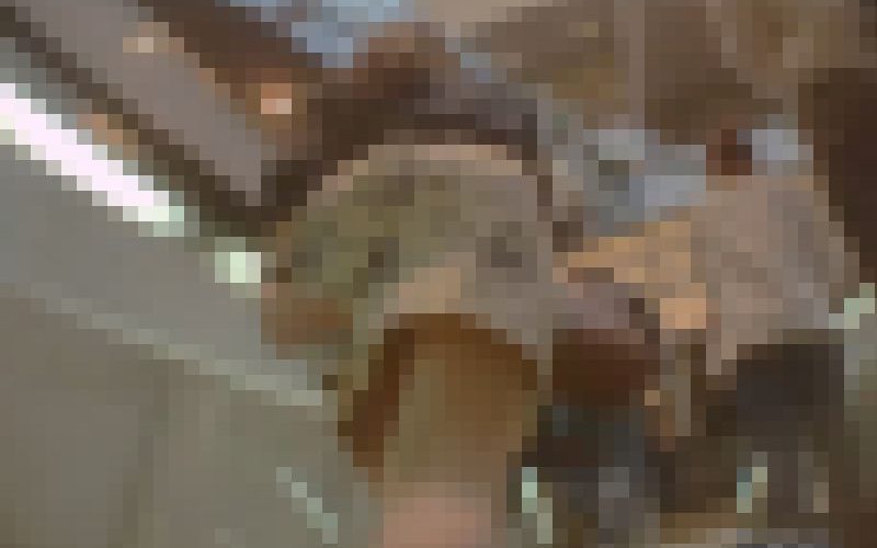 ★Dogeyes★完全オリジナル174 知的マダム前下からデルタ部頂きました。ピタスト、大人の色気をどうぞ