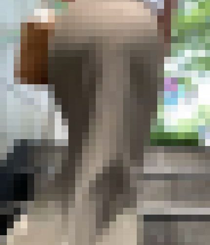 【再販】No.1520《顔モザ大解禁！！！》「超綺麗なV字パンティー！超美人お姉さんのデカい美尻」
