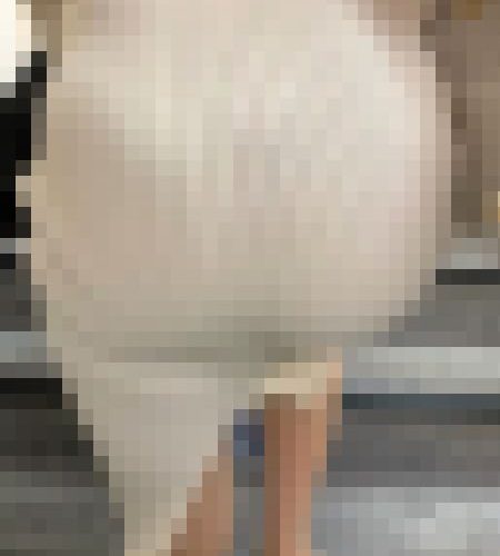 【再販】No.1525「女子アナウンサーのような才色兼備のセレブ美女！画面いっぱいの美巨尻をご覧あれ」