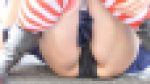 超速報！大阪ストリートカーニバル2026 NO-8 島●ちゃん黒生パン編