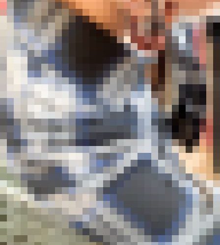 【店員さん胸チラB地区?】奇跡の再会！美術品店員さん/アパレル店員さん/２名